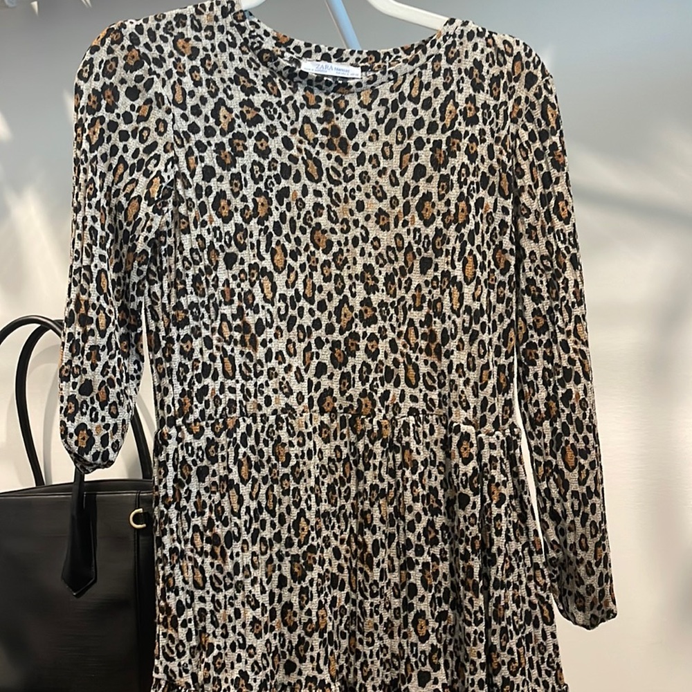 Leopard long sleeve mini dress